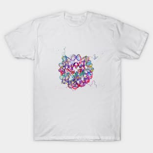 DNA Crystal Structure T-Shirt